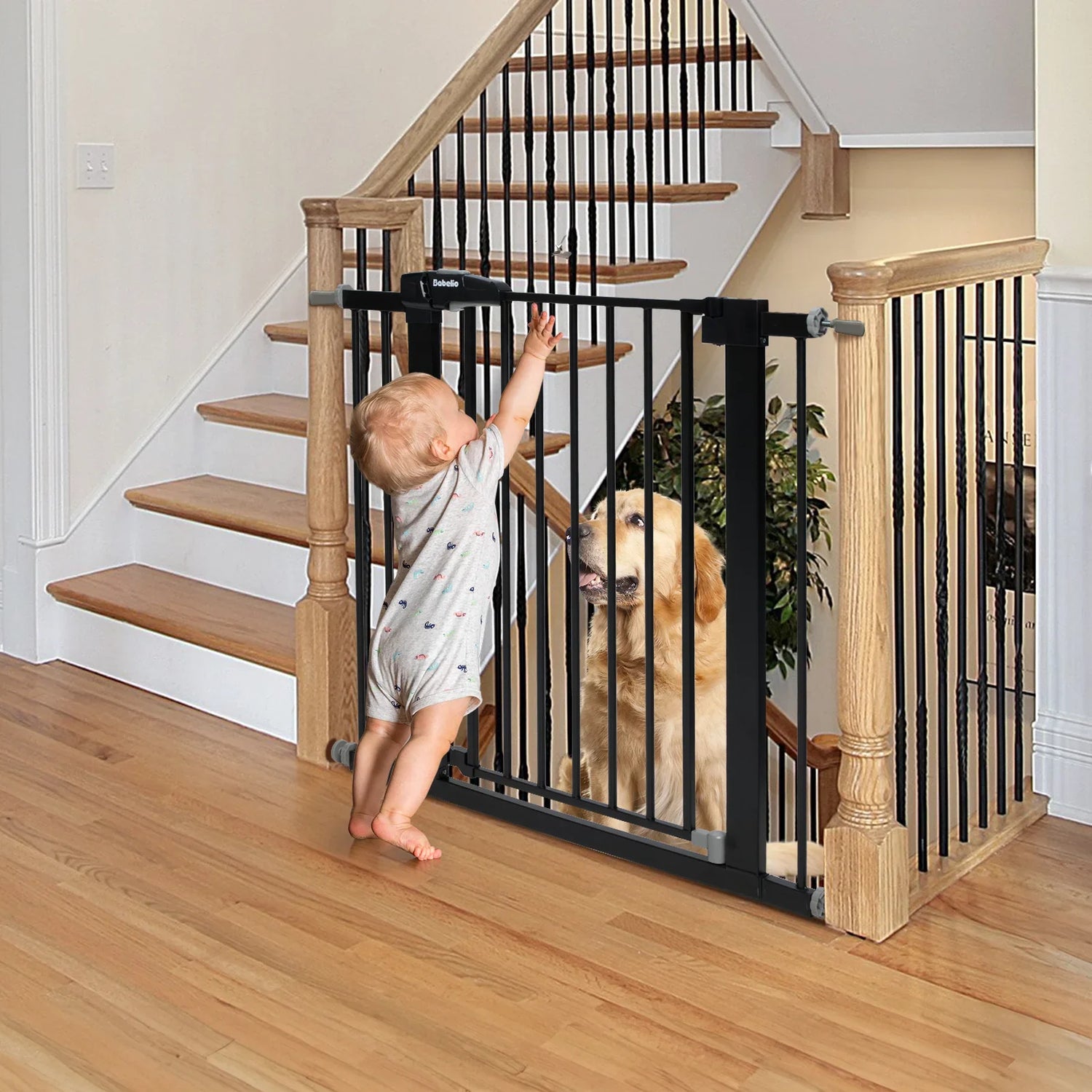 Baby Gate