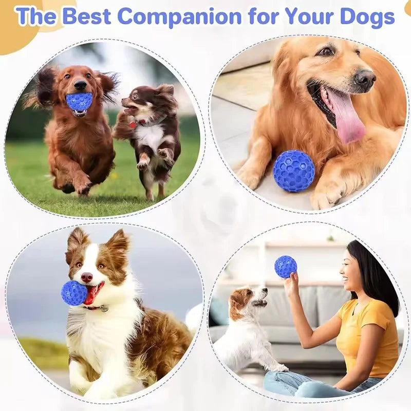 New Dog Toys Bite Resistant Interactive Throwing Sound Honeycomb Balls Natural Rubber Teething Clean Teeth Toys Pet Products