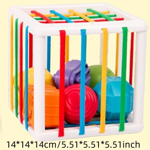 Montessori Toys Children 0-12 Months Early Education Rainbow Cesare Enlightening and Grasping Sensory Training Baby Toys Plastic