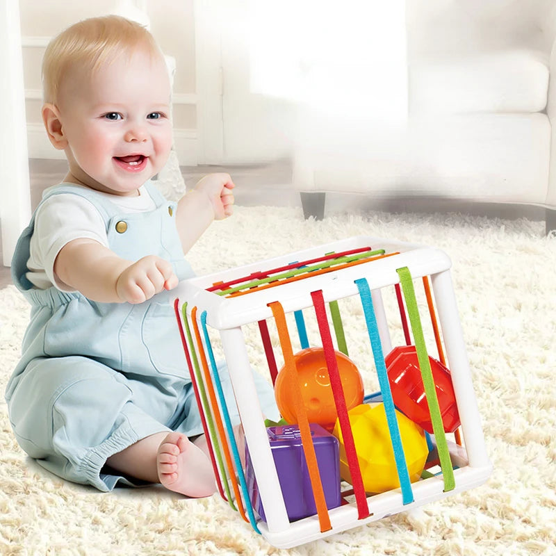 Montessori Toys Children 0-12 Months Early Education Rainbow Cesare Enlightening and Grasping Sensory Training Baby Toys Plastic