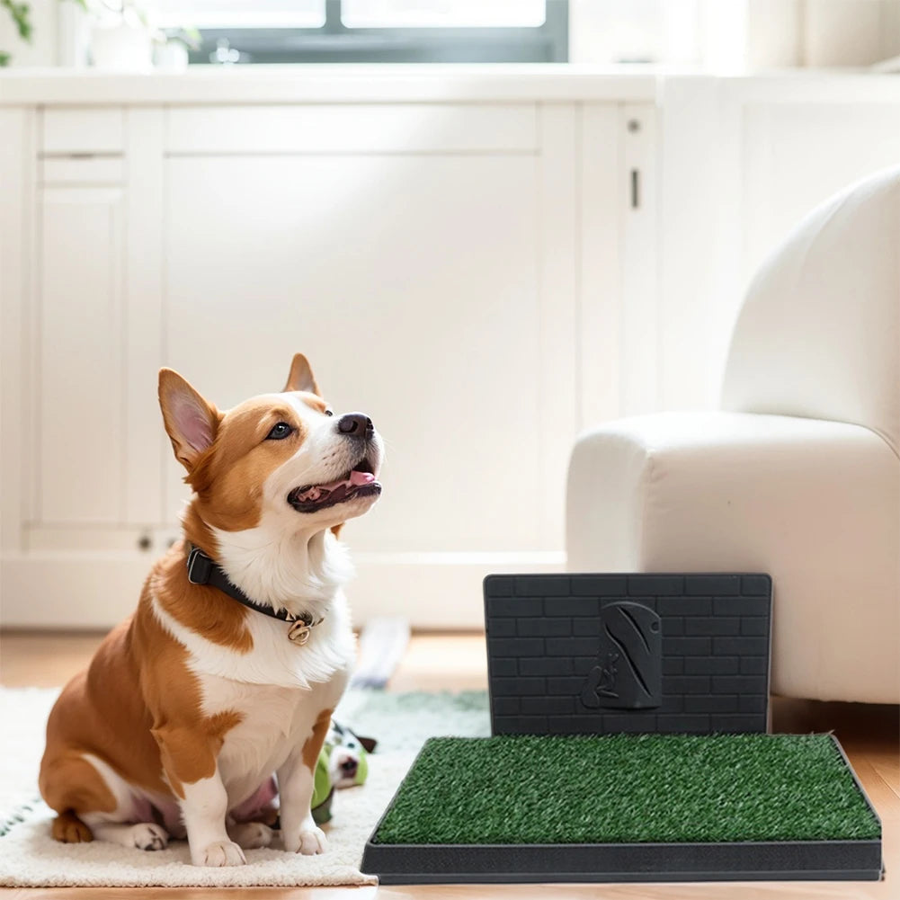 Training Pads with Pee Baffle Dog Grass Pad with Large Tray Reusable Indoor Or Porch Dog Potty Ideal for Small and Medium Dogs