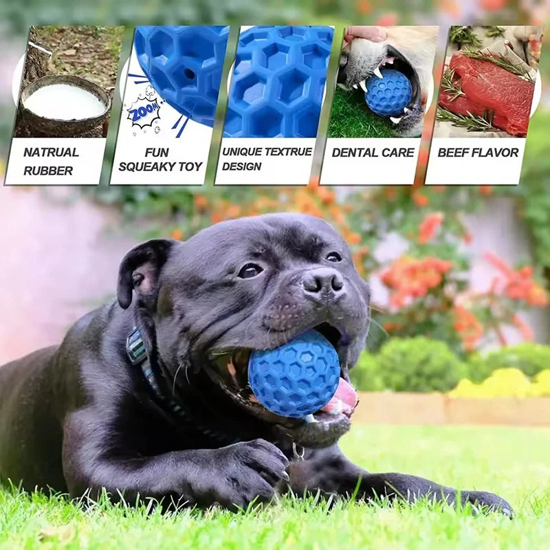 New Dog Toys Bite Resistant Interactive Throwing Sound Honeycomb Balls Natural Rubber Teething Clean Teeth Toys Pet Products